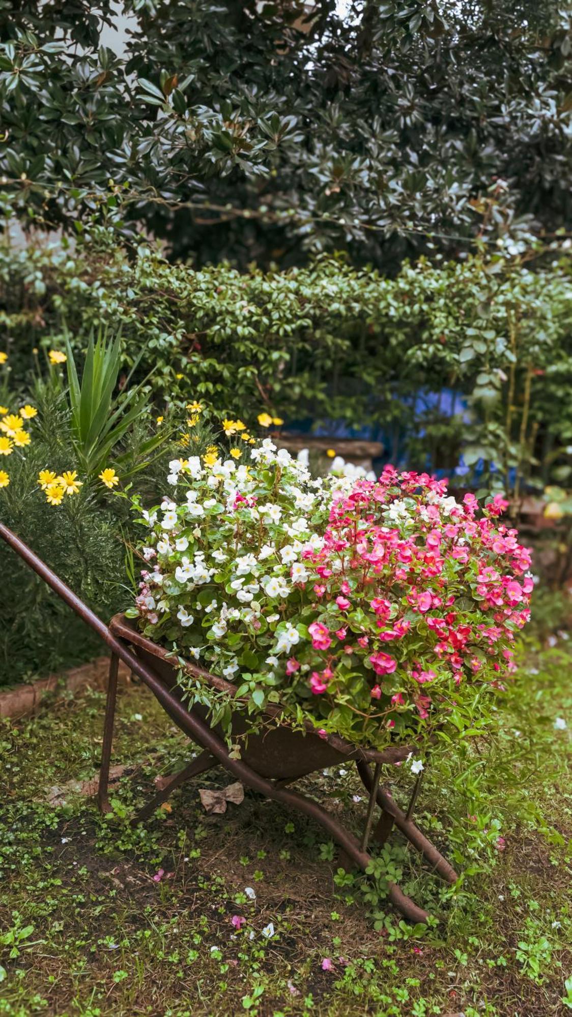 La Serra Sognante, Un Rifugio Incantevole Tra Natura E Relax Florence Extérieur photo