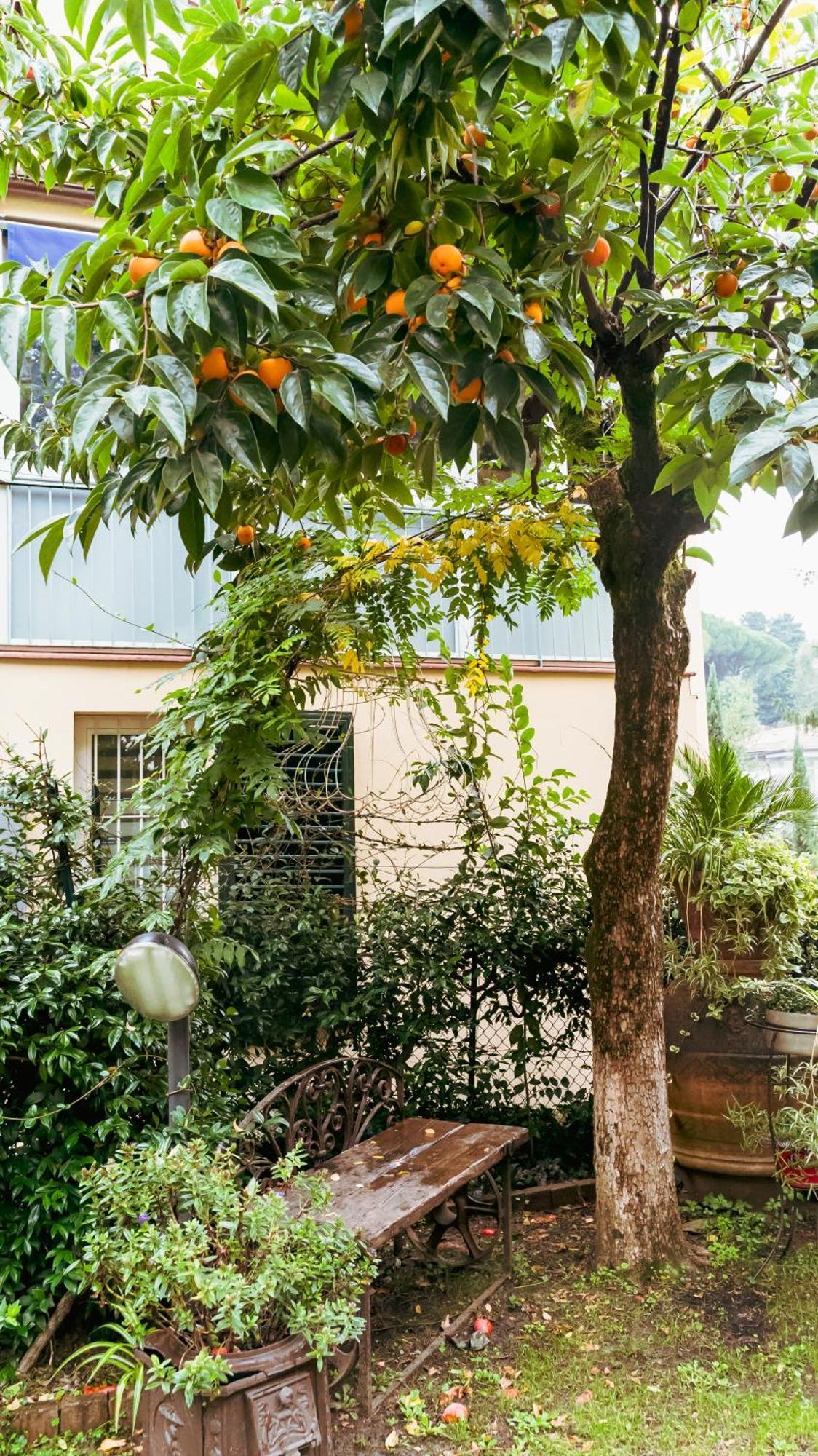 La Serra Sognante, Un Rifugio Incantevole Tra Natura E Relax Florence Extérieur photo