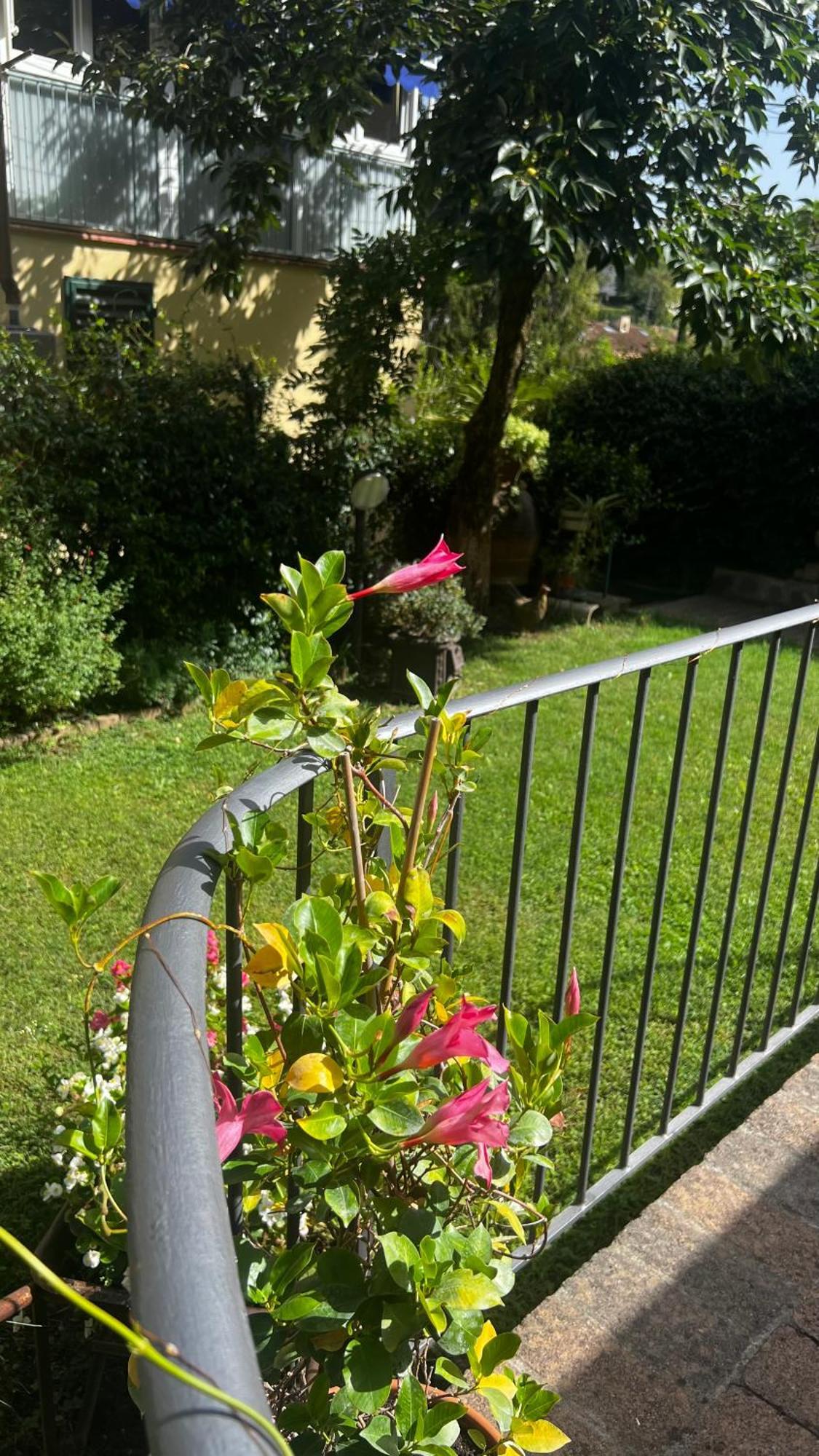 La Serra Sognante, Un Rifugio Incantevole Tra Natura E Relax Florence Extérieur photo