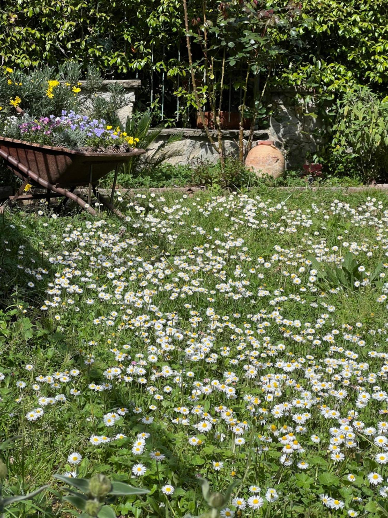 La Serra Sognante, Un Rifugio Incantevole Tra Natura E Relax Florence Extérieur photo